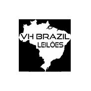 VH Brazil Leilões